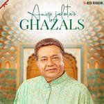 Anup Jalota'S Ghazals - Nihaarika Sinha Song Download
